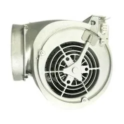 MOTEUR PRO VERSION.2009 POUR HOTTE ROBLIN - 12MO026