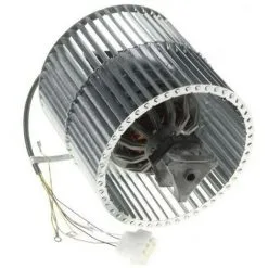 Roblin Soldes -Roblin Soldes 23913960 2